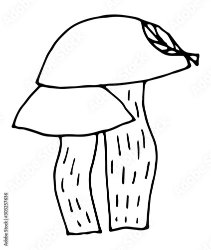 Colorful and fabulous mushrooms, boletus. Hand-drawn illustration for design and for coloring.