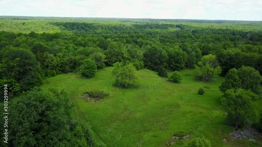 Aerial View Flying Over Green Area Towards Large Forest Aerial View Flying Over Green Area Towards Large Forest
