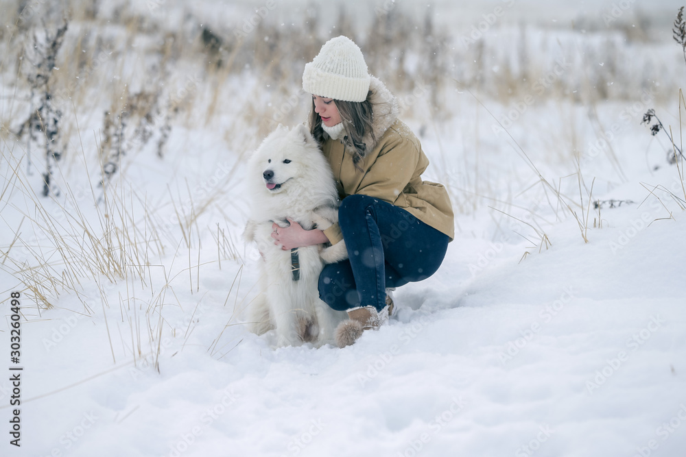 A young girl walks in winter with a white Samoyed dog in a snowy meadow in the forest. A young girl walks in winter with a white Samoyed dog in a snowy meadow in the forest.