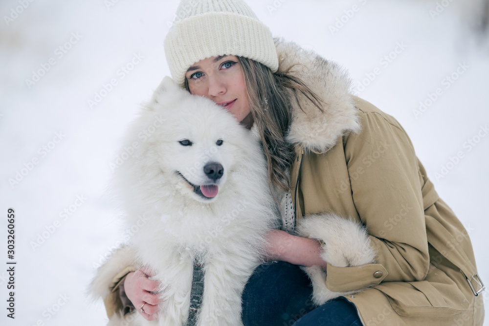 A young girl walks in winter with a white Samoyed dog in a snowy meadow in the forest. A young girl walks in winter with a white Samoyed dog in a snowy meadow in the forest.
