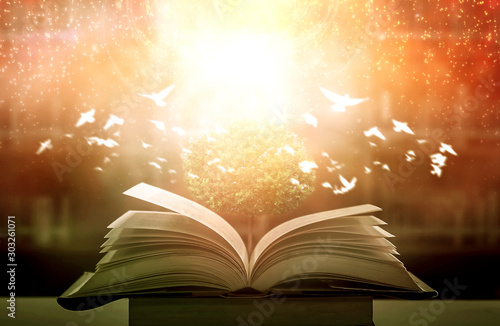 Slika na platnu Images of ancient books open on wooden tables with beautiful overlays for illustration and background images