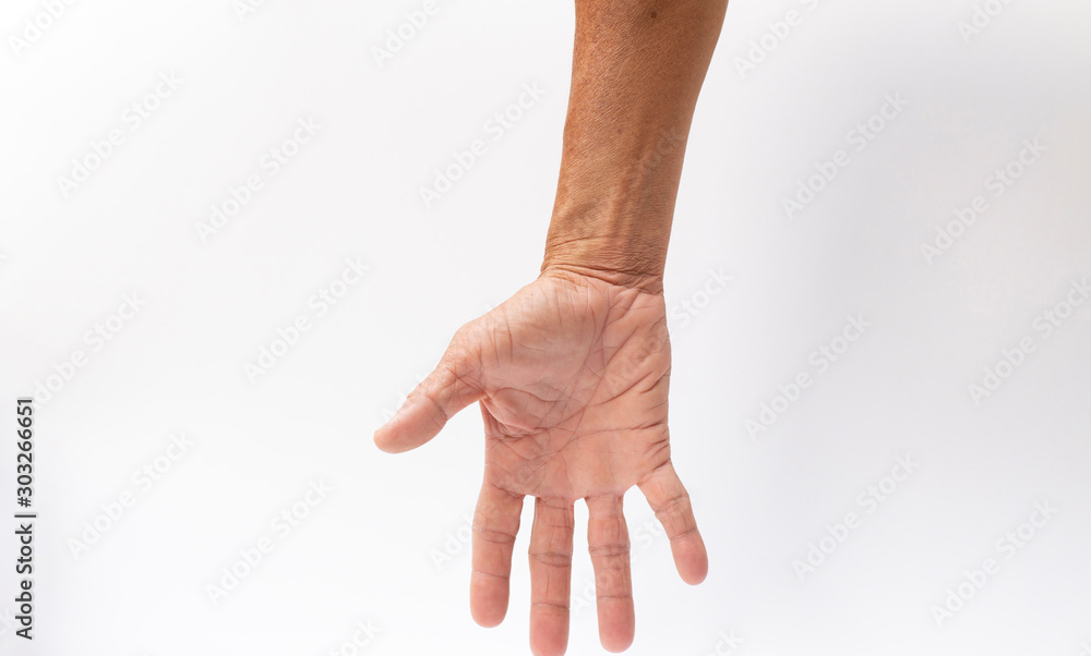 The gesture of the hand that opens your finger on the white background The gesture of the hand that opens your finger on the white background