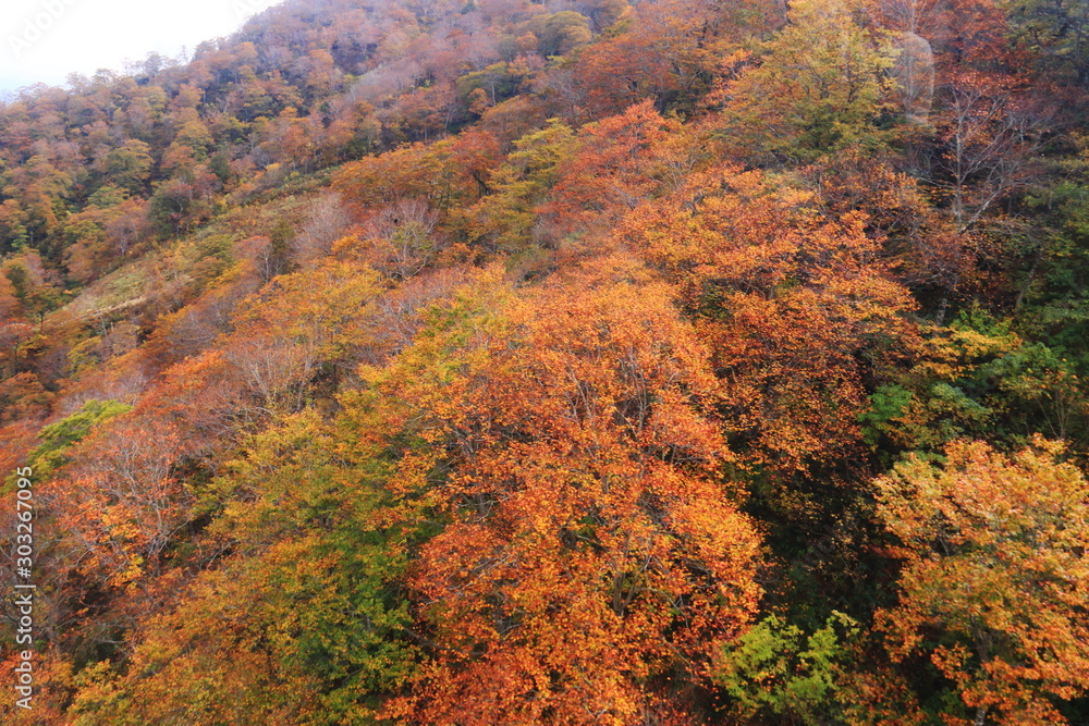 秋の谷川岳　谷川岳ロープウェイからの景色