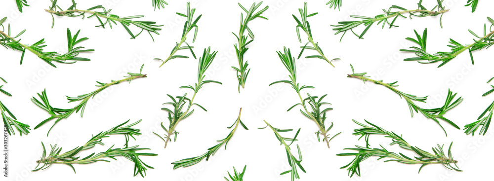 Wide background with pattern of green rosemary sprigs on white. Natural fresh herbs flat lay. Food creative widescreen backdrop - obrazy, fototapety, plakaty 