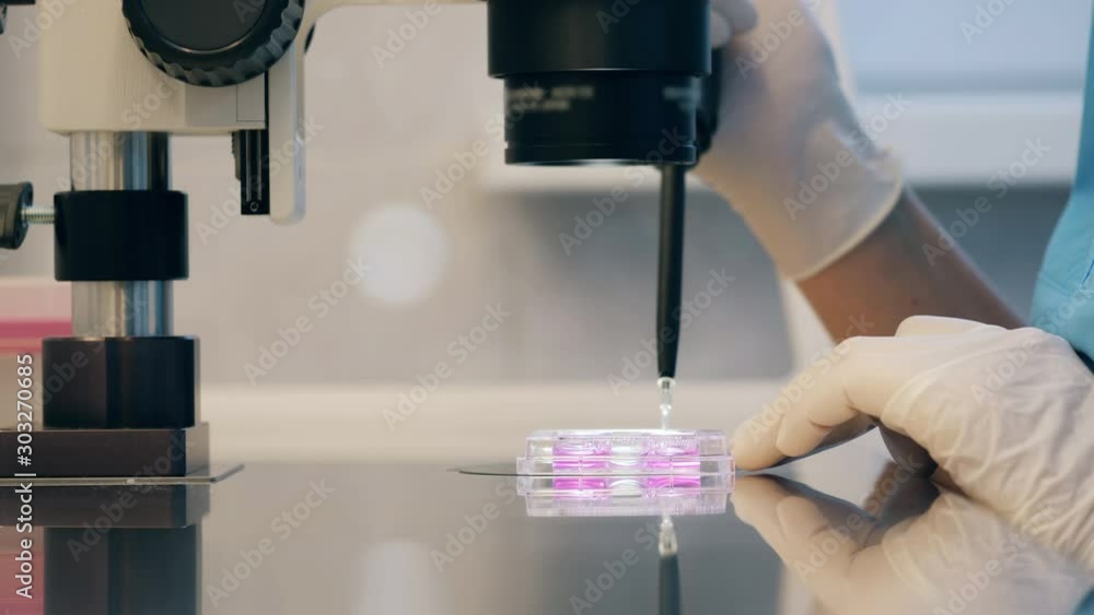 Lab science worker is analyzing and relocating fluids with a pipette Lab science worker is analyzing and relocating fluids with a pipette