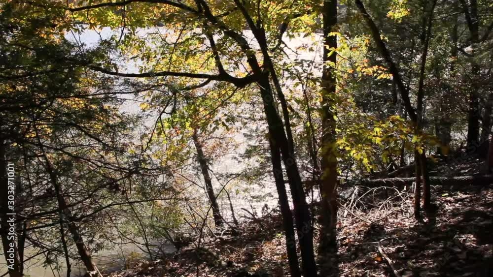 Glimpse of the sun reflecting off the surface of the water of Lake of the Ozarks in Missouri. Zoom in closer to the trees whose leaves are changing color in Fall. A single leaf begins to fall. Glimpse of the sun reflecting off the surface of the water of Lake of the Ozarks in Missouri. Zoom in closer to the trees whose leaves are changing color in Fall. A single leaf begins to fall.