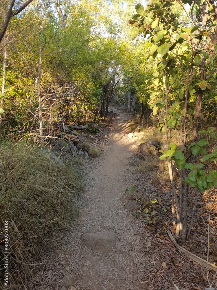 road less traveled road less traveled