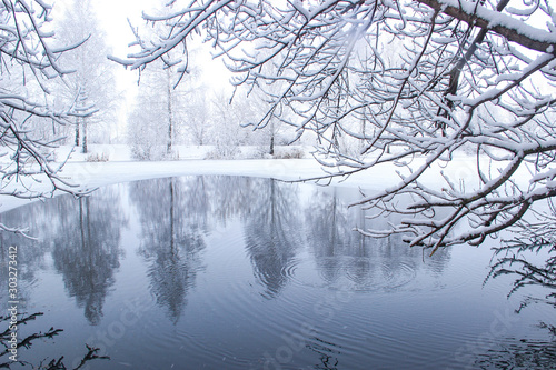 Cuadro en lienzo Frozen pond in a snowy forest on a frosty afternoon