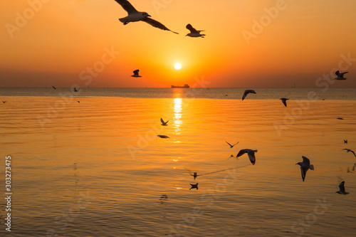 Sunset or evening time at sea or ocean with seagull bird flying.