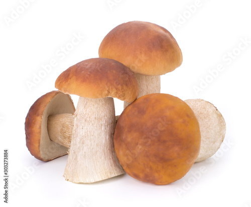 Big Boletus Edulis Mushroom isolated on white background close up