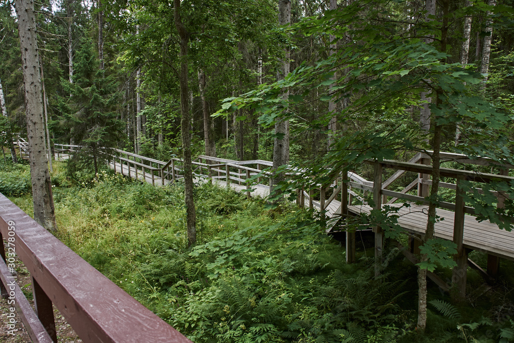 Wooden bridge in the forest.An old wooden bridge is thrown over a ravine in the forest. The railing of the bridge is also wooden. Lake Ladoga, Valaam Island, Karelia, Russia. Wooden bridge in the forest.An old wooden bridge is thrown over a ravine in the forest. The railing of the bridge is also wooden. Lake Ladoga, Valaam Island, Karelia, Russia.