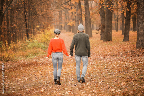 Young couple in park on aut...