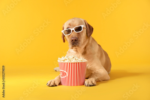 Adorable dog with bucket of...