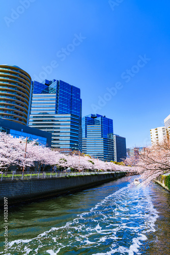 Landscape of Tokyo Osaki city and cherry blossom in Spring Japan photo