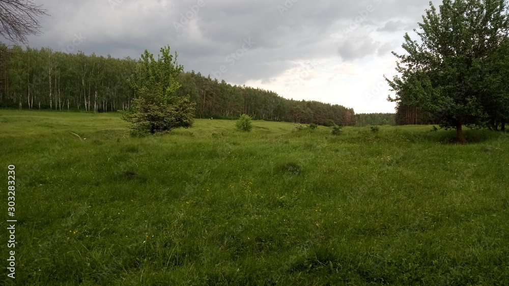 Obraz premium All-focus