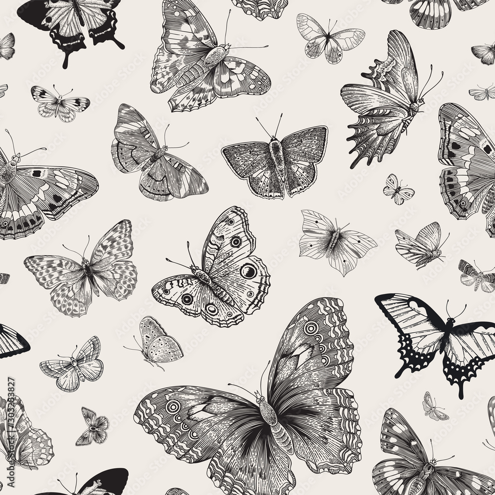 Butterflies. Seamless pattern. Vector vintage classic illustration. Black and white.. - obrazy, fototapety, plakaty 