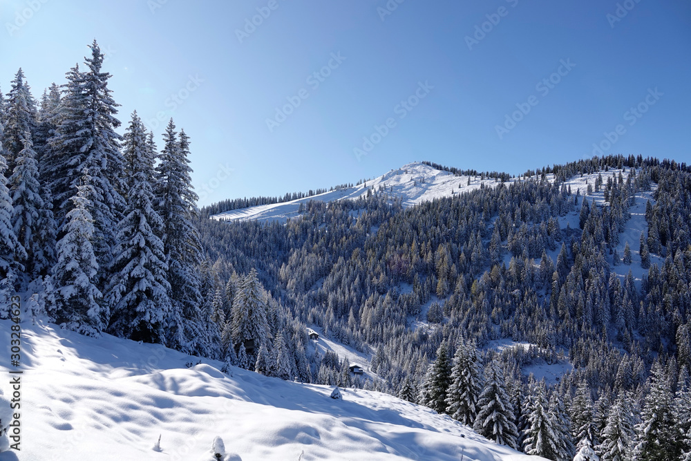 beautiful view to the snow capped mountains in austria with snowed in trees