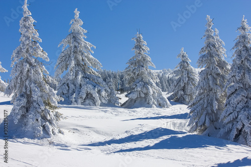 Winter snow mountain forest landscape.