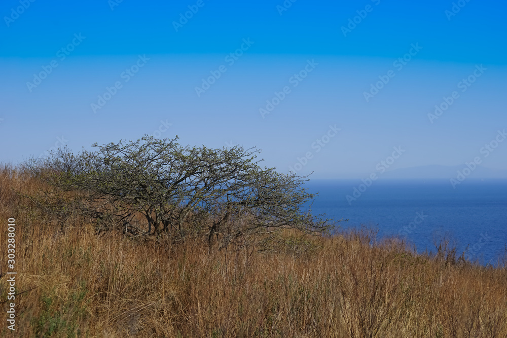 marine landscape with views of the coastline