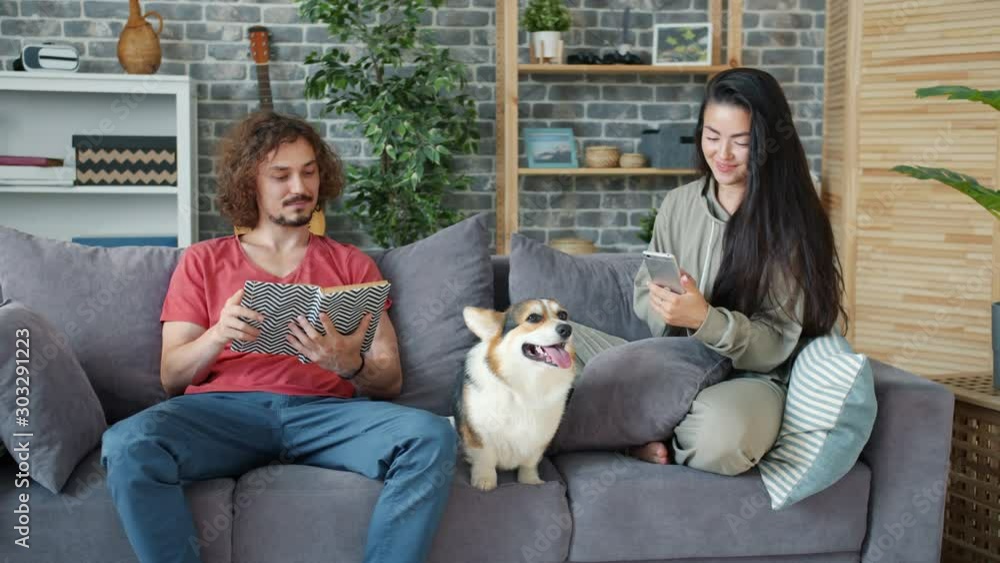 Girl is using smartphone touching screen while guy is reading book at home on comfy couch with corgi puppy. Relationship, lifestyle and pets concept. Girl is using smartphone touching screen while guy is reading book at home on comfy couch with corgi puppy. Relationship, lifestyle and pets concept.