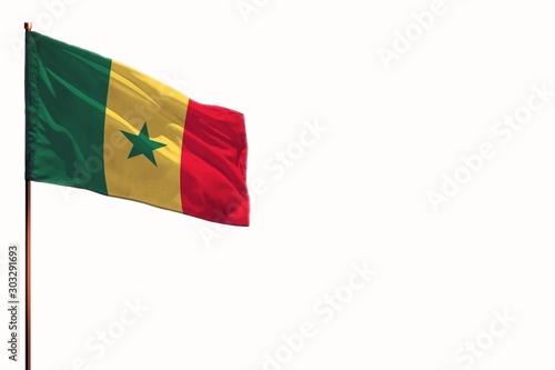 Fluttering Senegal isolated flag on white background, mockup with the space for your content.