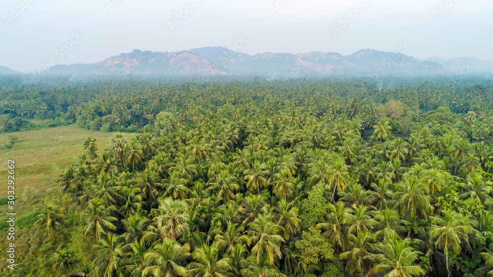 Aerial top View of City/Village in India, coconut tree 