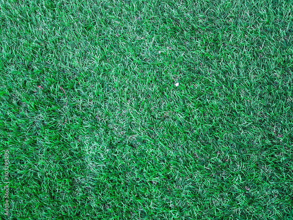 green grass blackground texture green grass blackground texture