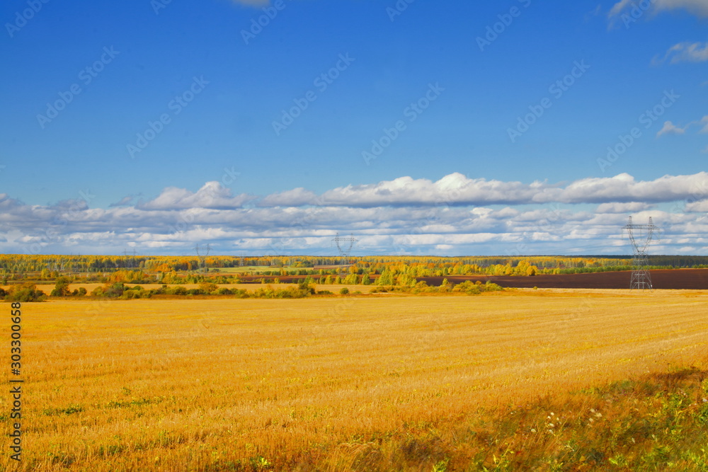 Autumn landscape. A yellow field under blue skies on a clear sunny day. Harvest ingesis.