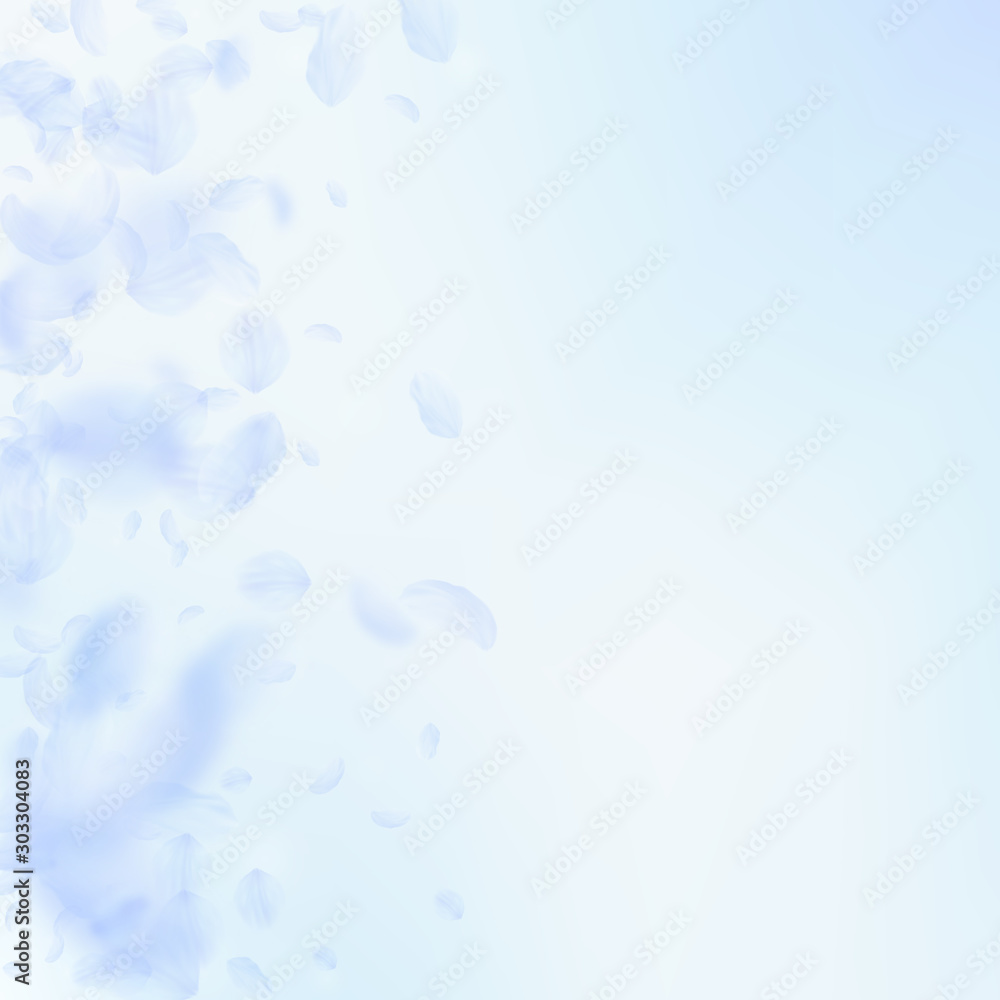 Light blue flower petals falling down. Radiant rom Light blue flower petals falling down. Radiant rom