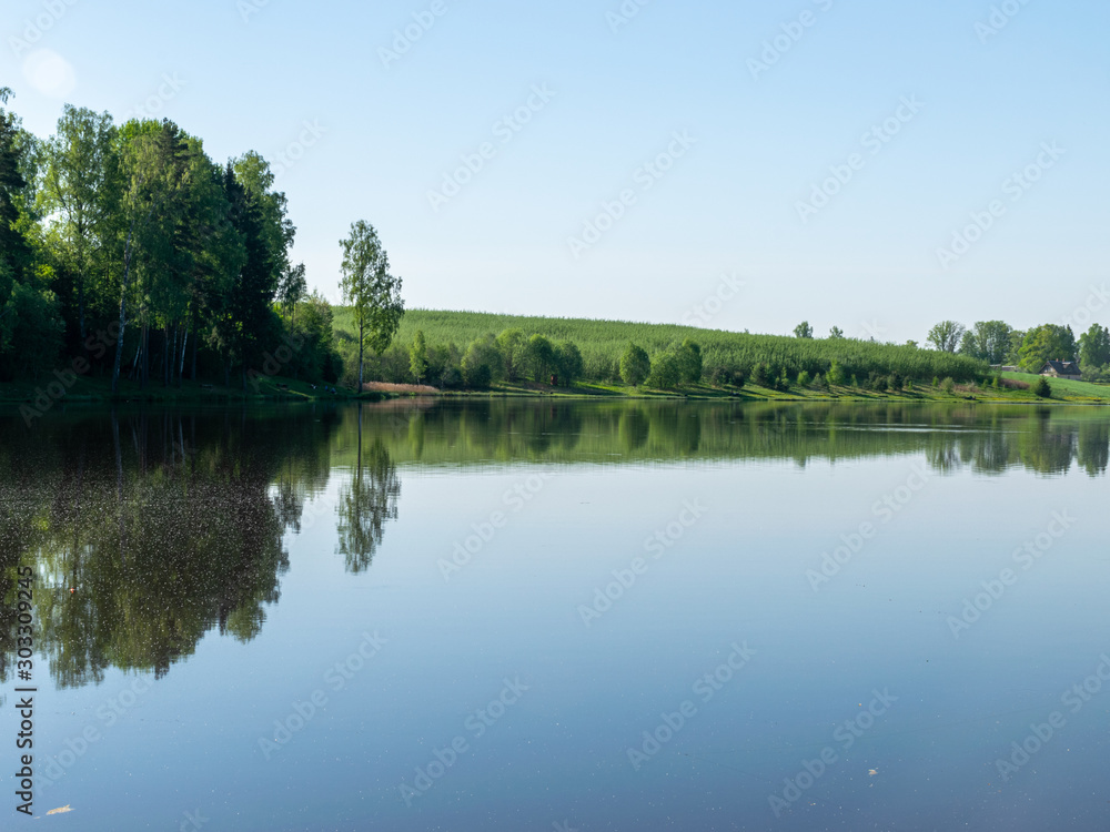 beautiful summer landscape with lake and green trees on shore.  calm water and reflections