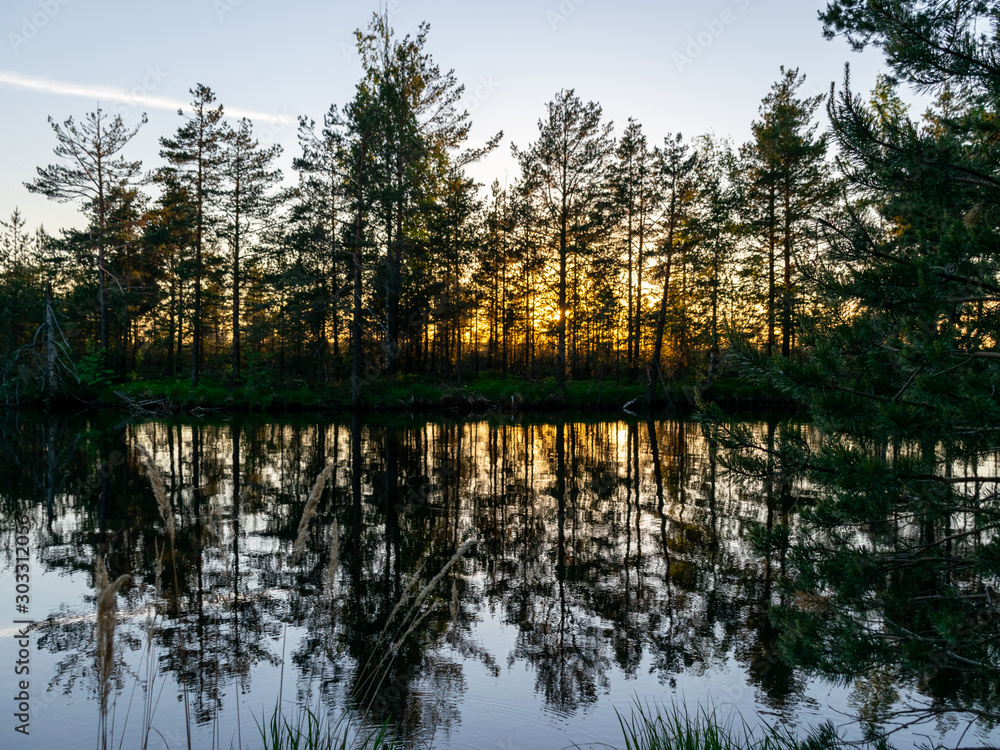 beautiful landscape with swamp lake at sunset, beautiful reflections of calm blurred lake water