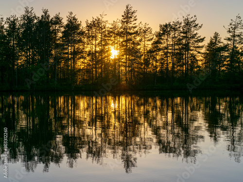 beautiful landscape with swamp lake at sunset, beautiful reflections of calm blurred lake water © ANDA