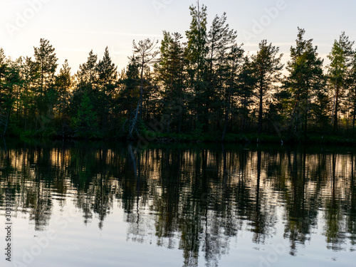 beautiful landscape with swamp lake at sunset  beautiful reflections of calm blurred lake water