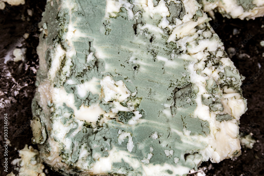 Close-up of soft blue cheese , macro shot