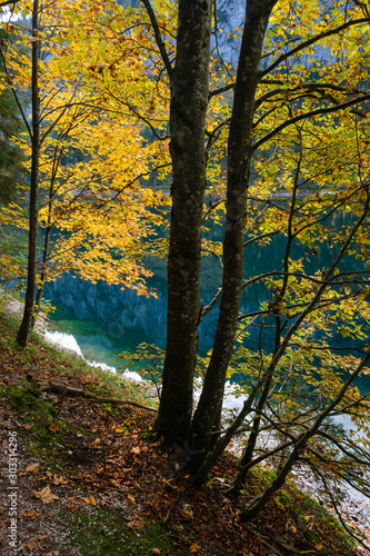 Peaceful autumn Alps mountain lake with clear transparent water and reflections. Gosauseen or Vorderer Gosausee lake  Upper Austria. Dachstein summit and glacier in far.
