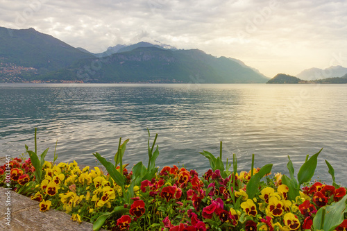 Como lake landscape mountain view with flowers, Italy, Lombardy.