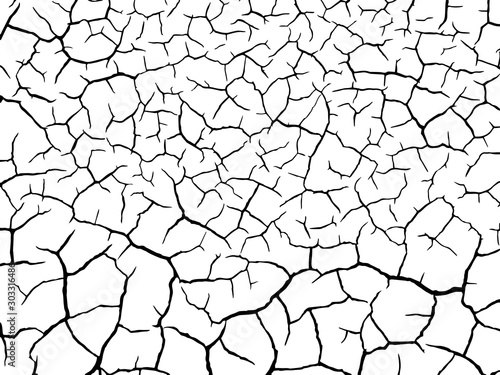 The cracks texture white and black. Vector background.Cracked earth. Structure of cracking. Cracks in dry surface soil texture. shards