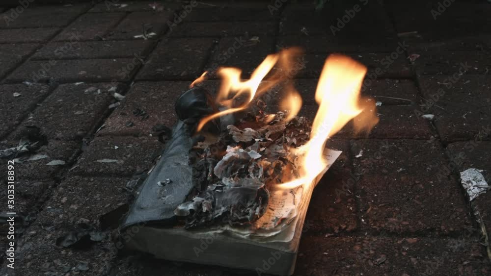 bible,holy bible,burn,book burning,antichrist,bible burn,hell,666,Jesus