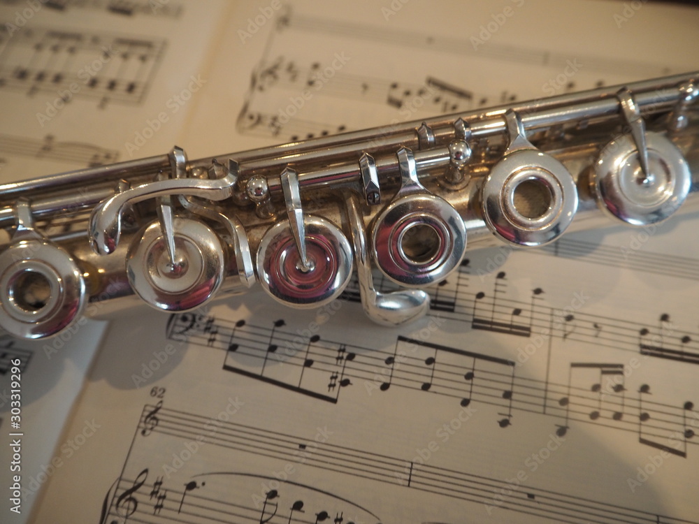 Obraz premium Flute Love Playing Music Notes Wind Band