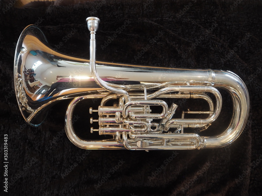 Obraz premium Euphonium Love Playing Music Notes Wind Band