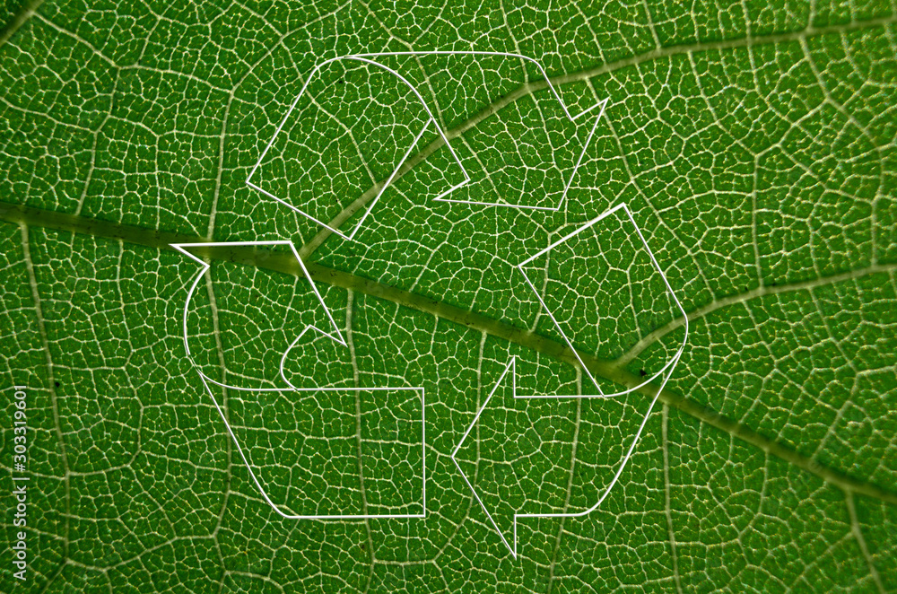 recycling symbol nature eko bio organic - obrazy, fototapety, plakaty 