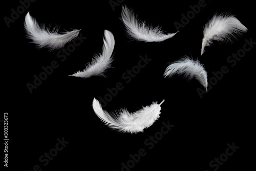 Soft white feathers falling down in the air, black background