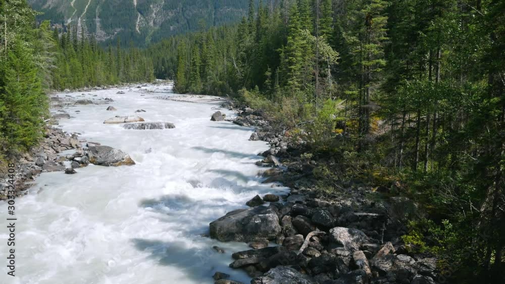 waterflow in river at yoho valley in summer daytime in Yoho National Park, British Columbia,Canada with background of mountain rang view and pinetree forest waterflow in river at yoho valley in summer daytime in Yoho National Park, British Columbia,Canada with background of mountain rang view and pinetree forest