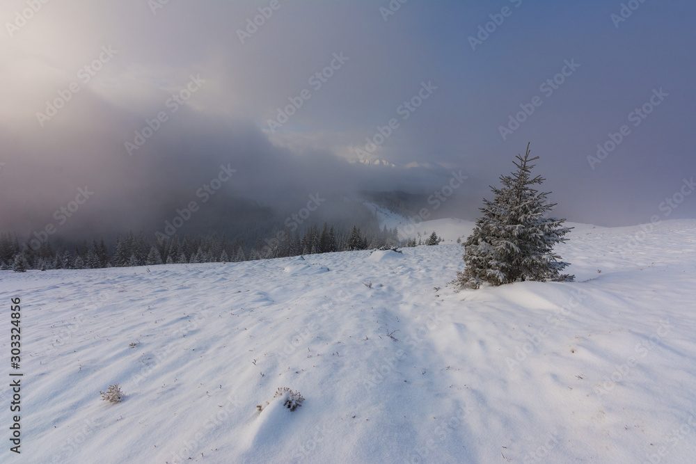 Winter landscape with the sunrise in the Ukrainian Carpathian Mountains, with fogs and beautiful colors. Winter landscape with the sunrise in the Ukrainian Carpathian Mountains, with fogs and beautiful colors.