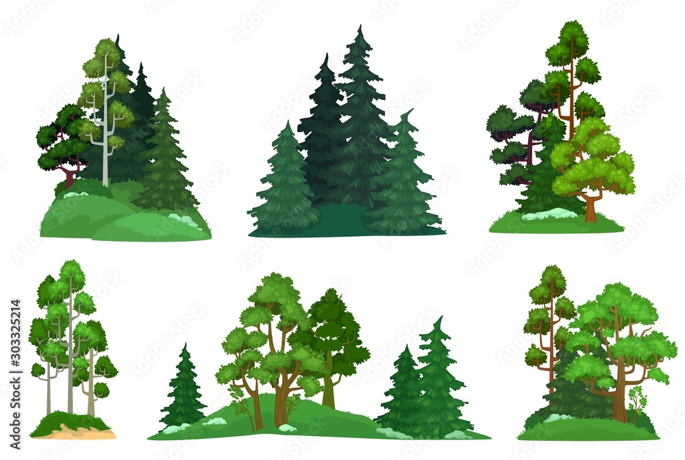 Forest trees. Green fir tree, forests pine composition and isolated trees. Foresting botanical woodland or park green tree trunk signs. Cartoon vector illustration icons set