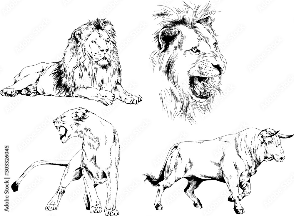 set of vector drawings of various animals, predators and herbivores, hand-drawn sketches, tattoos