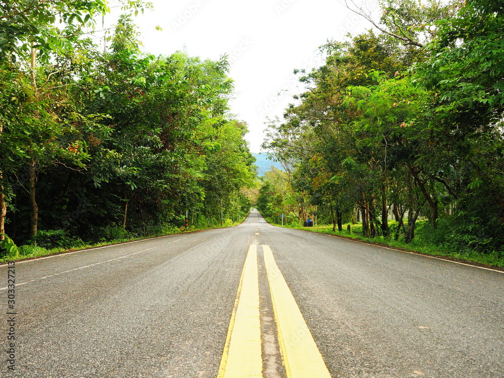 Road in forests, The nature road in Thailand, Summer Country Road With Trees Beside Concept, Road nature.