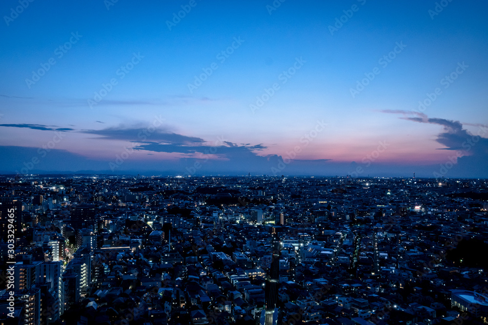 Obraz premium 東京の都市夜景 夕暮れの空と地平線２