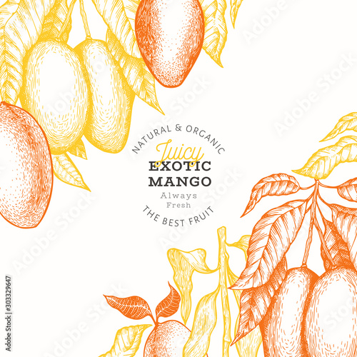 Mango design template. Hand drawn vector tropic fruit illustration. Engraved style fruit. Vintage exotic food banner.