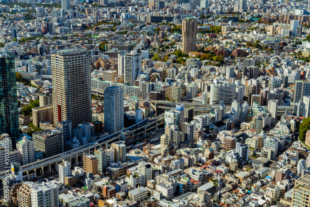 Fototapeta premium 東京の街並み 